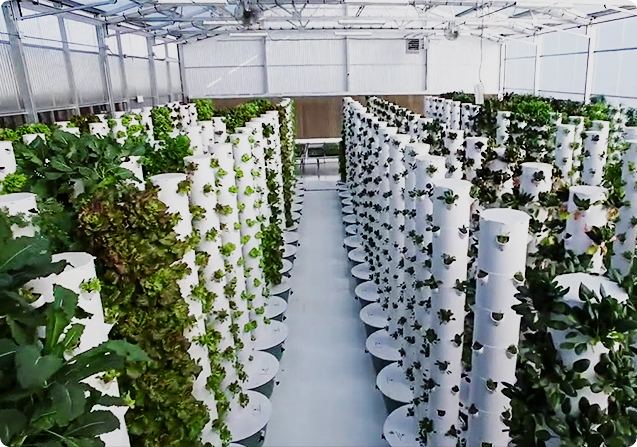 Hydroponics